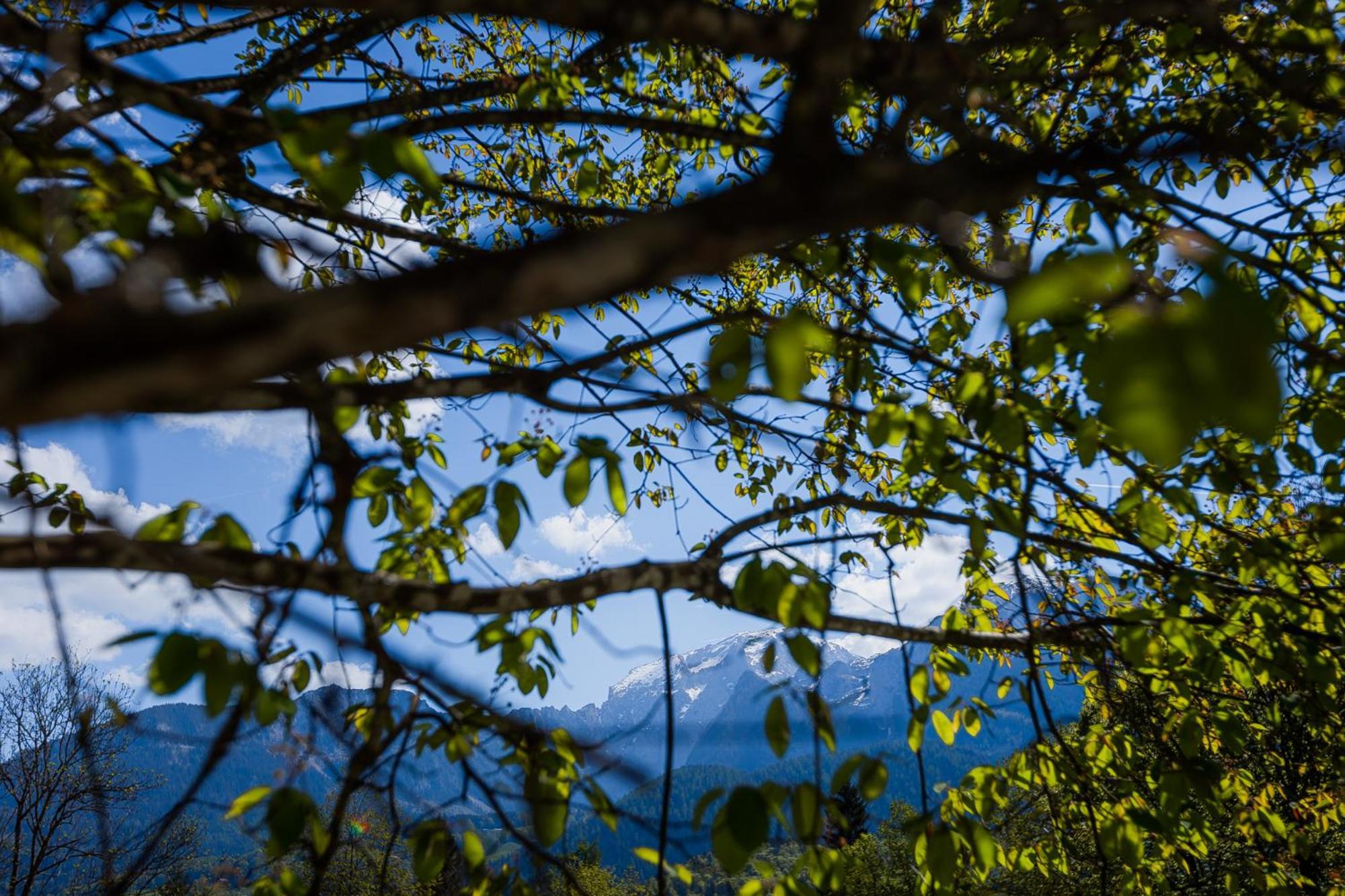 Schönau am KönigsseeWaldklauseアパートメント エクステリア 写真